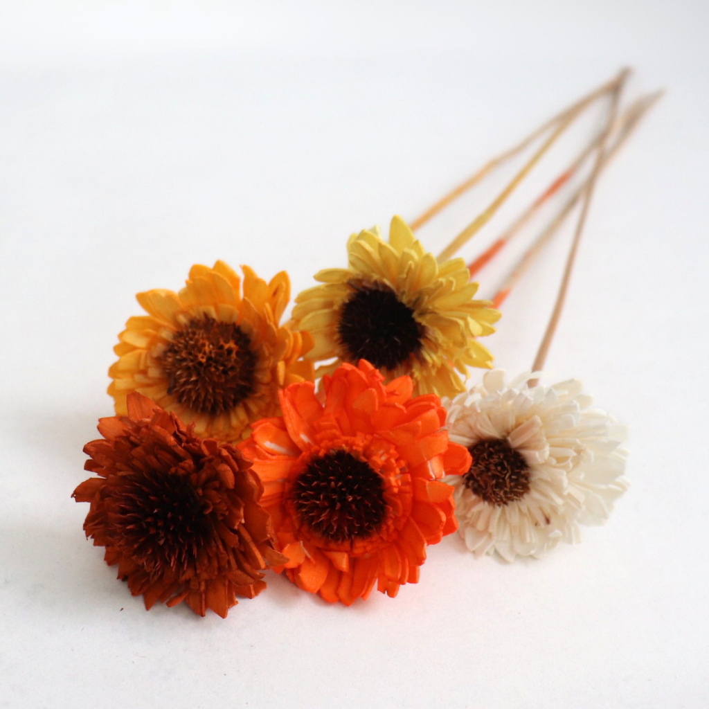 Barevný mix květů Shola Sunflower na stonku ve svazku 5 kusů